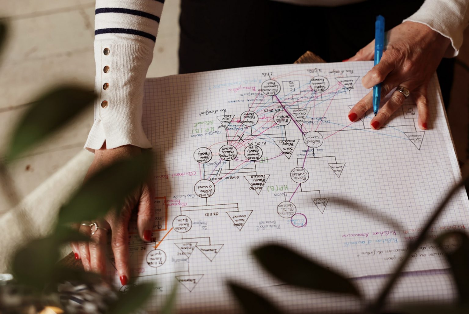 Le géno-sociogramme : l’arbre généalogique de l’analyse. – Alexandra ...