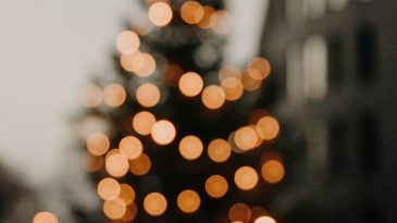 Et si vous passiez enfin un Noël apaisé ?